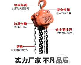 卓力生产倒链支持定制